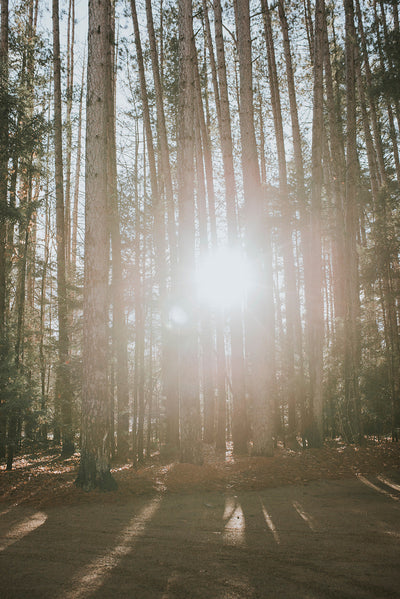 Spring Equinox Offering