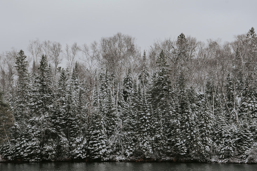 Winter Solstice Ritual