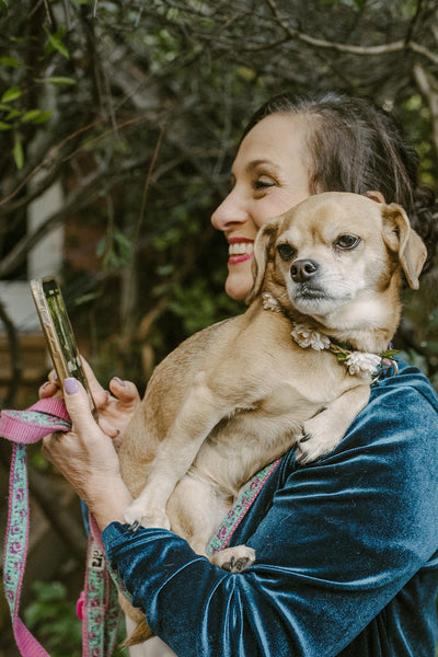 All About Animal Communication