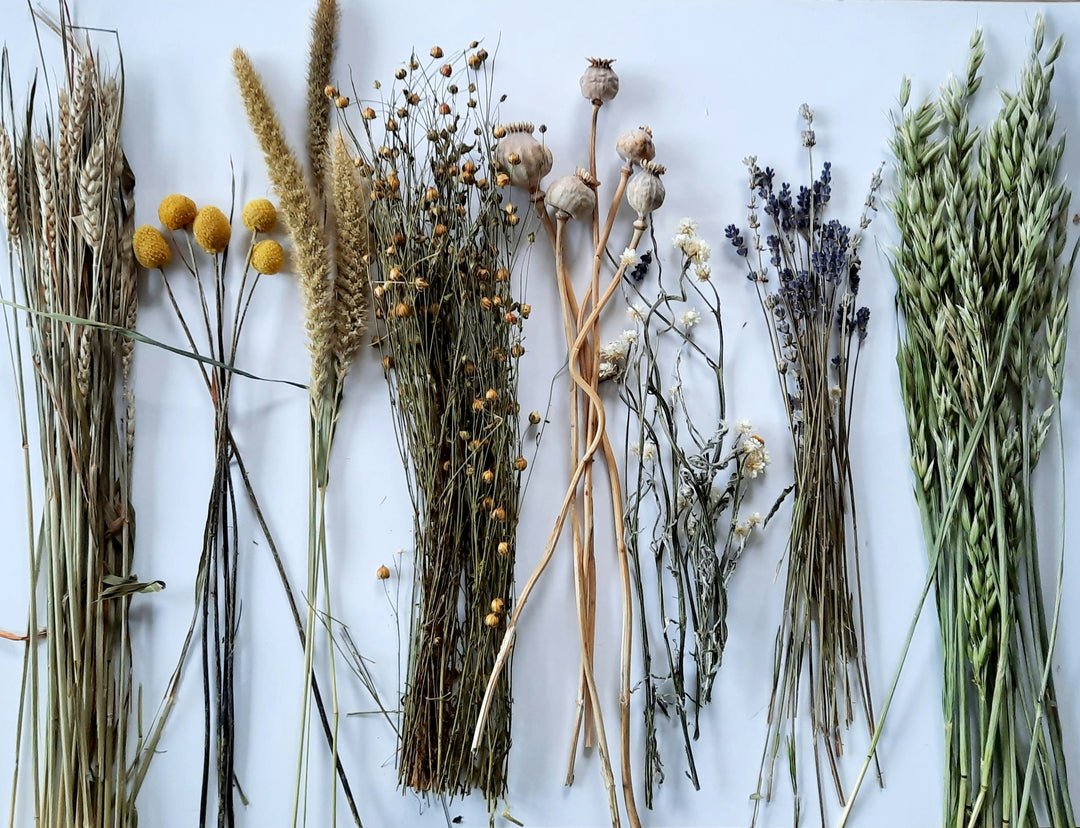 Everlasting Blooms: A Unique Dried Flower Arrangement Workshop