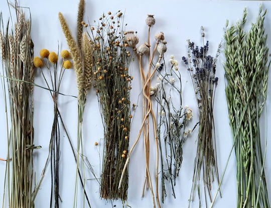 Everlasting Blooms: A Unique Dried Flower Arrangement Workshop
