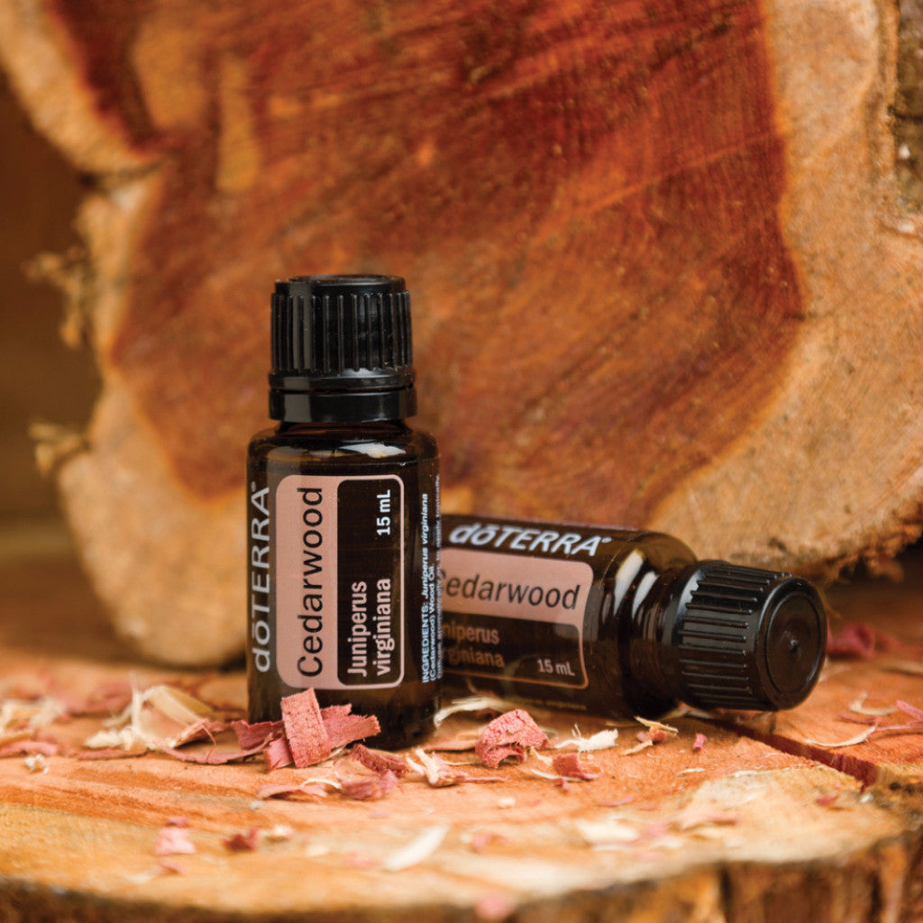 doTERRA | Cedarwood