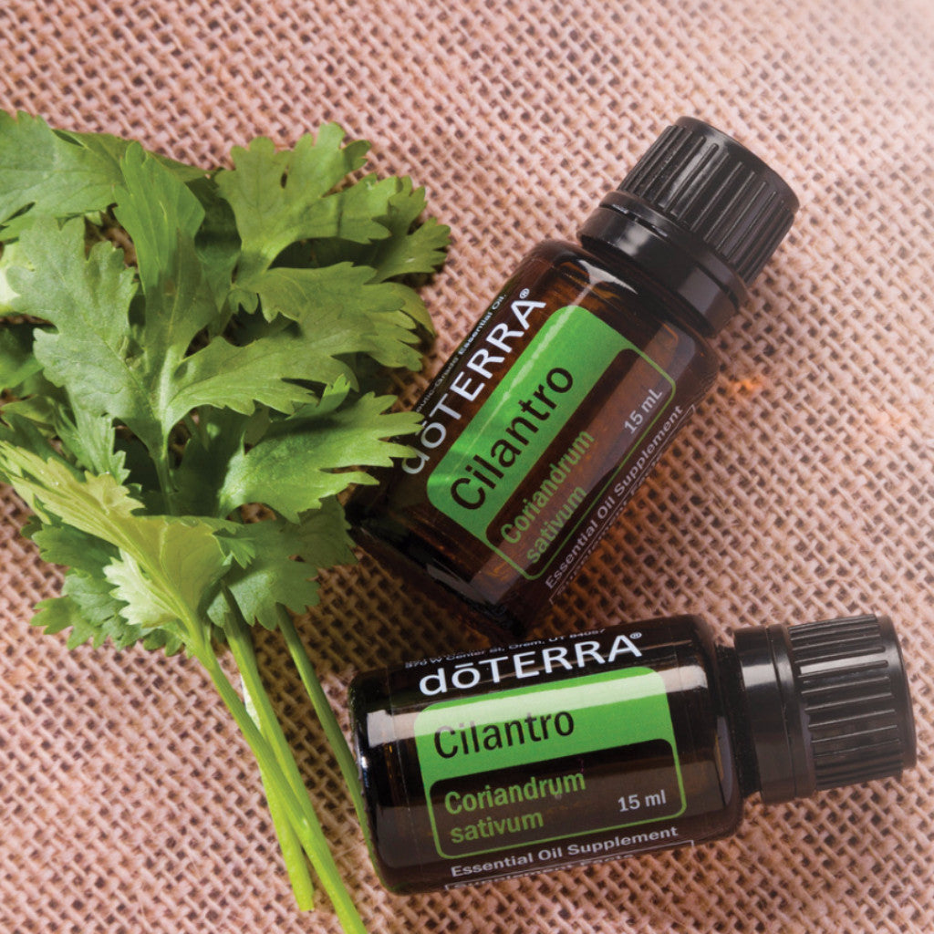 doTERRA | Cilantro