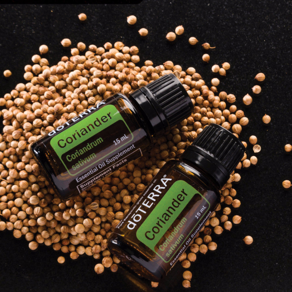 Coriander