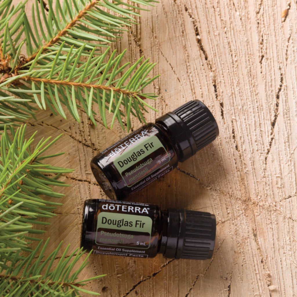 Douglas Fir