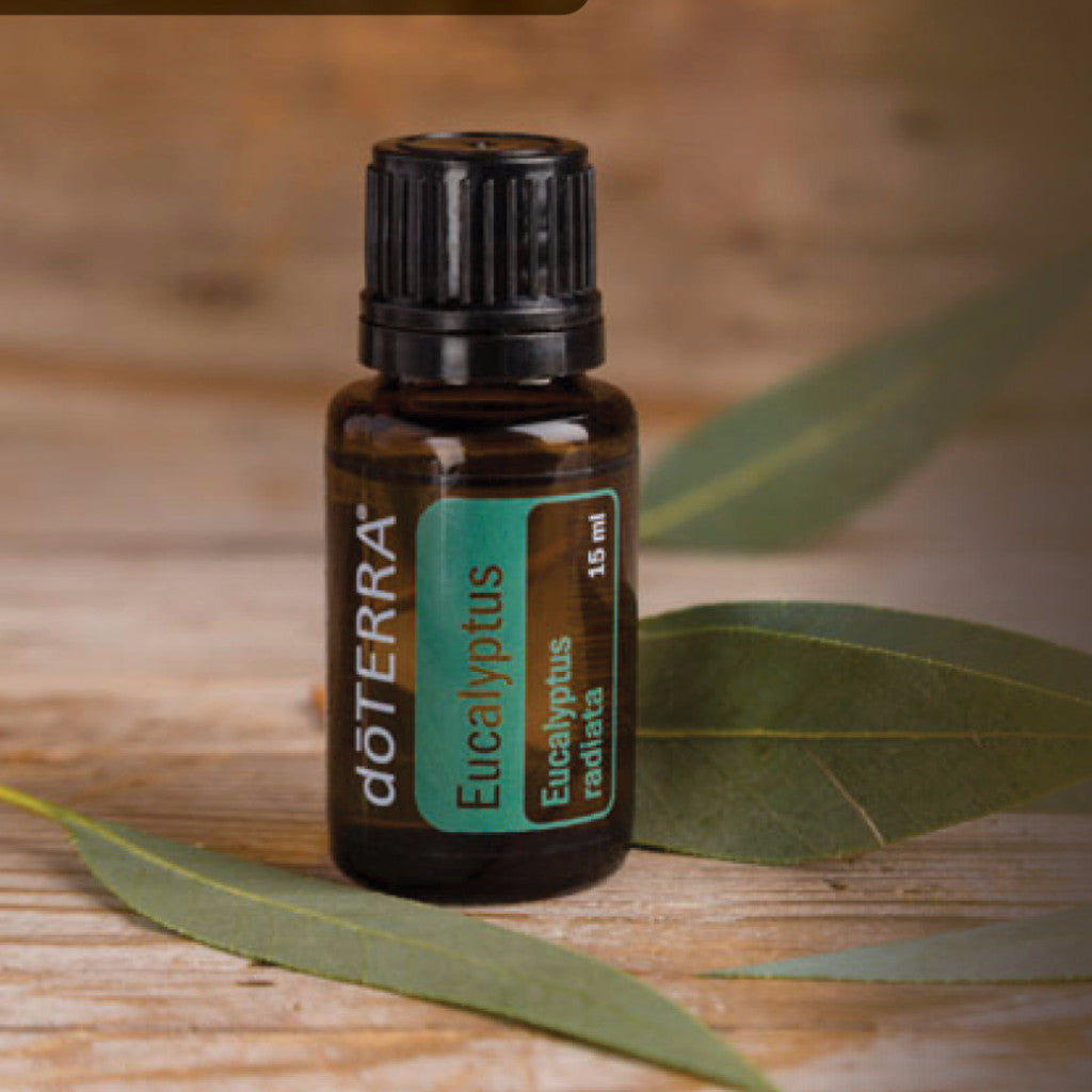 Eucalyptus