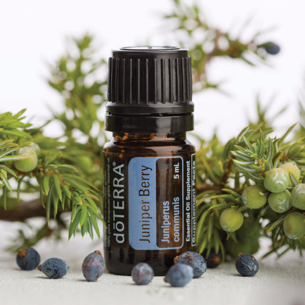 Juniper Berry