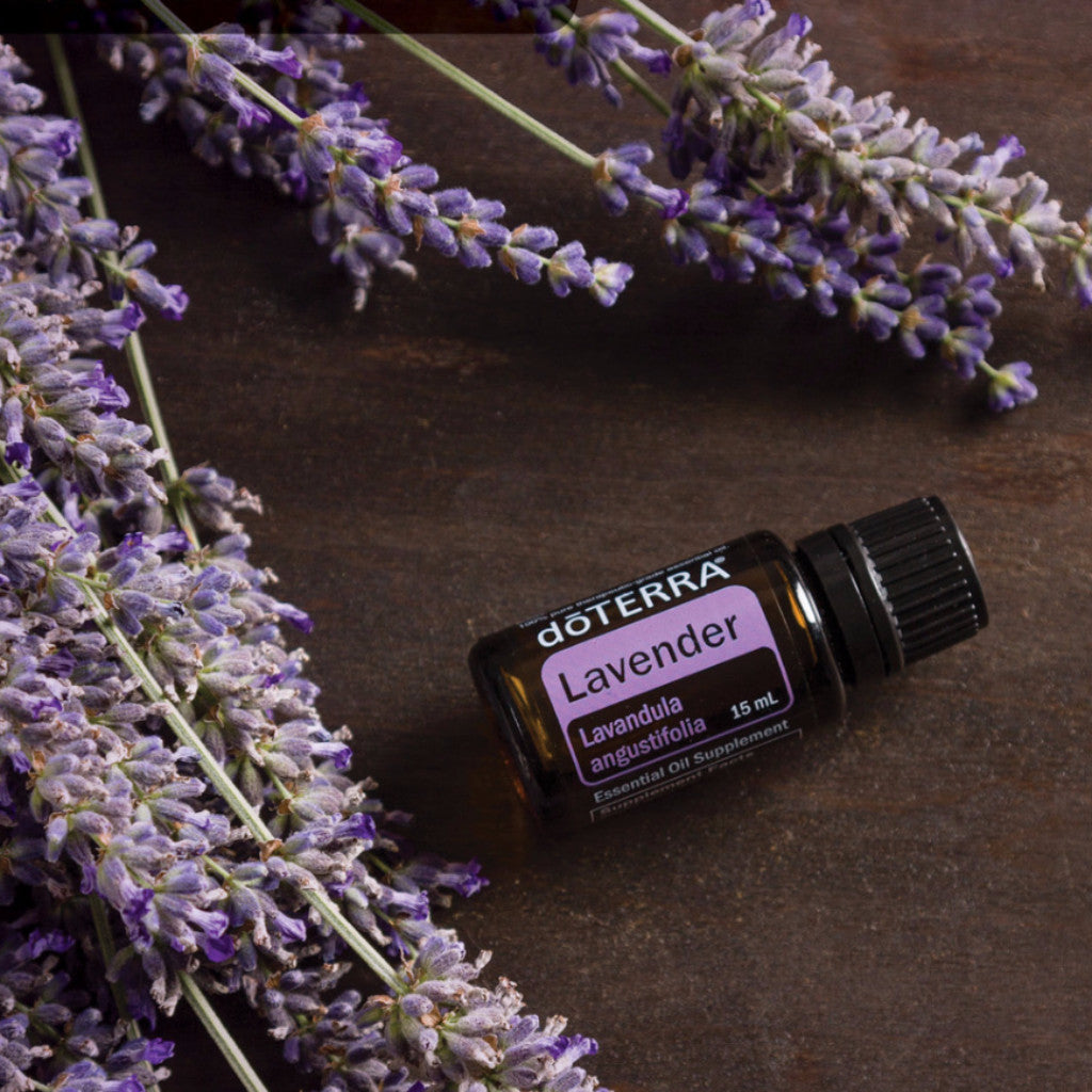 Lavender