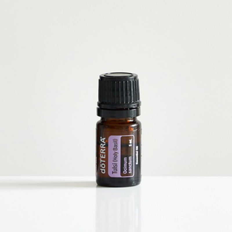 Tulsi (Holy Basil)