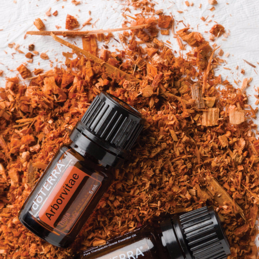 doTERRA | Arborvitae