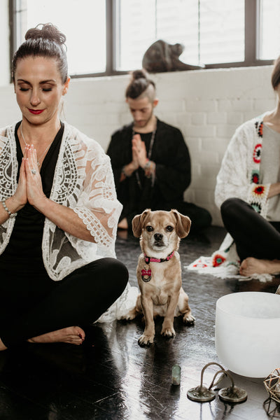 3-Day Private Wellness Retreat